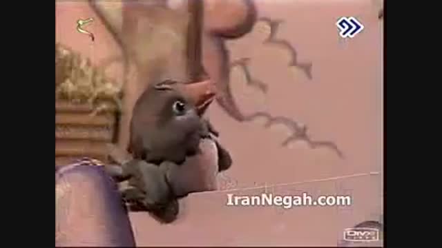 گنجشکک اشی مشی