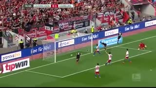 خلاصه بازی: بایرلوکوزن 3 - 1 هامبورگ