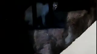 ظهور جن واجنه(تقدیمی برایkakashi14)