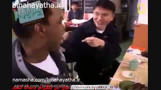 شما هم خوراک هشت پا زنده میل دارید!-نشنال جئوگرافیک