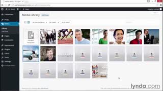 آموزش جامع کلیات وردپرس 4.5 و بالاتر - آریاگستر