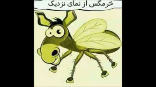هـای گــــــــایز! من برگشــــــــــــــــتمــ