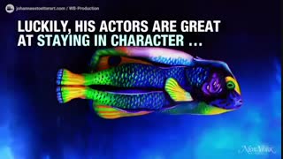 انسان و حیوان