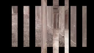 تصاویر از پروژه های اجرا شده با پانل های دیواری اکوتک