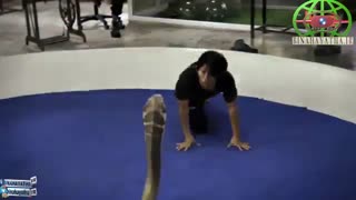 با مردی که مار کبر ی را می بوسد آشنا شوید!!