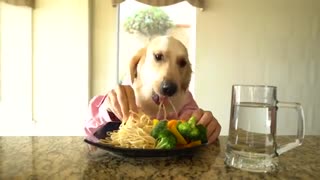 این  ویدیو آشپزی جهانی شده!