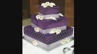 لایتو و الکسا دست اول بازی میکنن