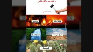 وقتی سرما میخوری