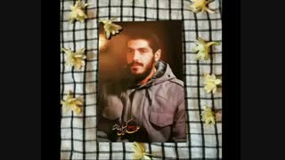 امیربی گزند