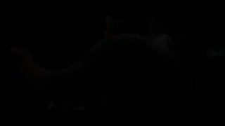 تریلر فیلم GUARDIANS