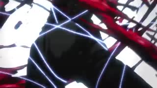 (Hellsing Ultimate - The Vengeful One(AMV