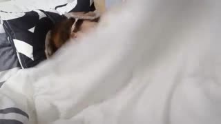 سریال جرقه قسمت یازدهم با زیرنویس فارسی