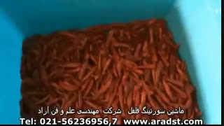 ماشین سورتینگ فلفل - شرکت مهندسی علم و فن آراد