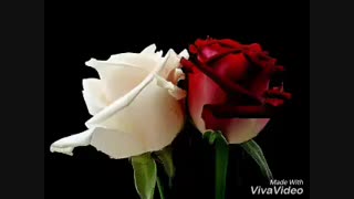 کسایی که با حدیث میحرفن یا میخوان بحرفن یا کار دارن این ویدیو