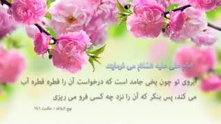 جملات حکیمانه امام علی علیه السلام (10)