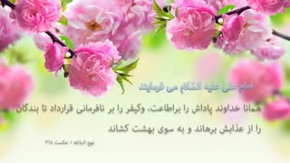 جملات حکیمانه امام علی علیه السّلام (11)
