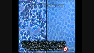 آزمایش فوق العاده قلم اموند امگا