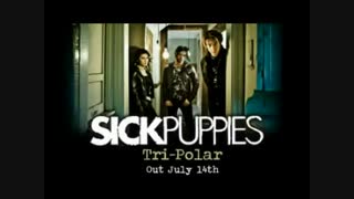 دومین کادوی تولدم به خودم :| Sick Puppies - You're going down lyrics