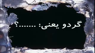 گردو یعنی: .......؟