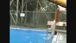 بدشانس ها.حتما ببینید.ناموسا،رفیقای من لایک کنید