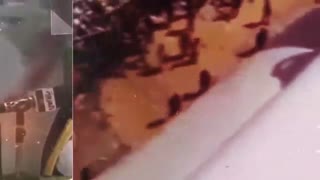 خائن الحرمین