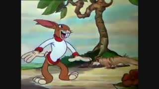 لاکپشت و خرگوش