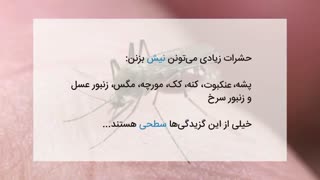 پشه ها زیاد نیشت می زنن؟ حتما این ویدیو رو ببین!