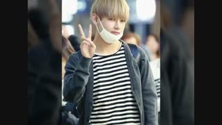 بیو گرافی  V