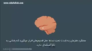ذهن آگاهی و نحوه عملکرد مغز