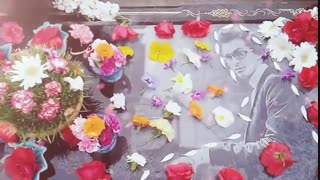 میکس کلیپ های بهشت زهرا با آهنگ ماه من(تقدیمی)(توضیحات مهم)
