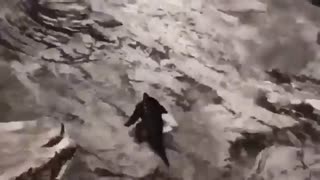 【MAD】ONE PUNCH MAN Gamble Rumble