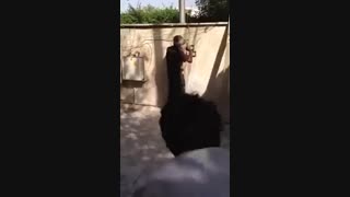 نکنه قراره کی بیشتر از همه بیدار میمونه؟؟؟؟؟؟