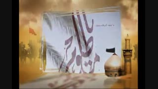 عشقه من، نمون تو این صحرا - سید مهدی میرداماد