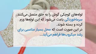عفونت گوش و راههای مقابله با آن