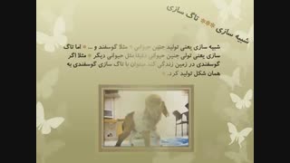 تاگ سازی ،پهپاد،سد کرخه