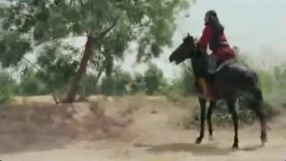 تمام مختارنامه در یک سکانس