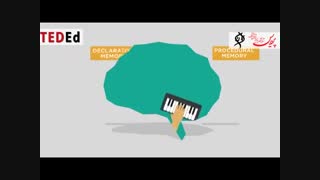 چرا به خواب نیاز داریم؟ - آزمایشگاه پردیس مشهد