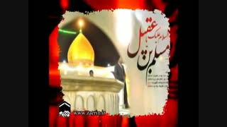 تنها تو شب کوفه.... - حاج سید مجید بنی فاطمه