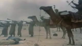 بهتر نیست به جای عزاداری، عاشورا را تحلیل عقلی کنیم؟ (استاد مسعود عالی)