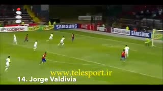 گل های دیدنی از زاویه های عجیب!