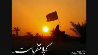 جاده و اسب