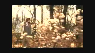 SS 501 - Boys Over Flower