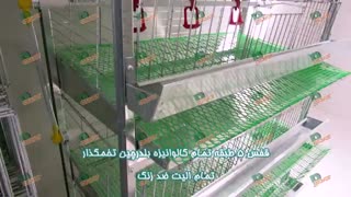 قفس بلدرچین