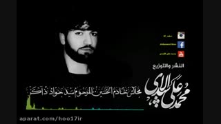 سید جوادذاکر