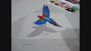نقاشی سه بعدی طوطی روی کاغذ