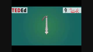 چرا نشستن بد است؟