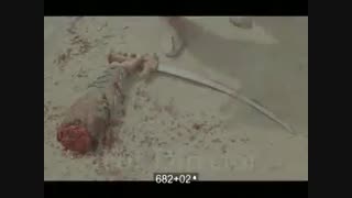 ساقی بی دست ... دستم را بگیر... دستم را بگیر....