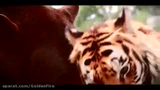 بعضی از حیوانات دوست داشتنی نیستند...
