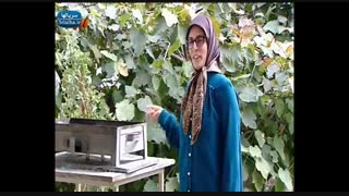 سریال همه چیز آنجاست - 17