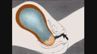 What happens at Child Birth ?